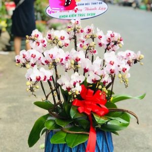 đặt hoa Đà Nẵng