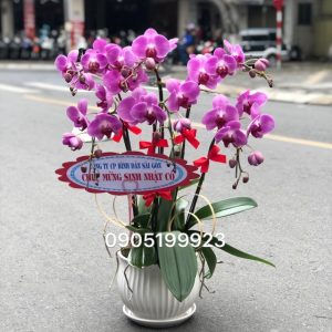 đặt hoa Đà Nẵng